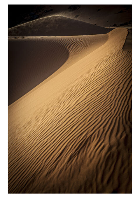 Dune / Sahara Algérie 